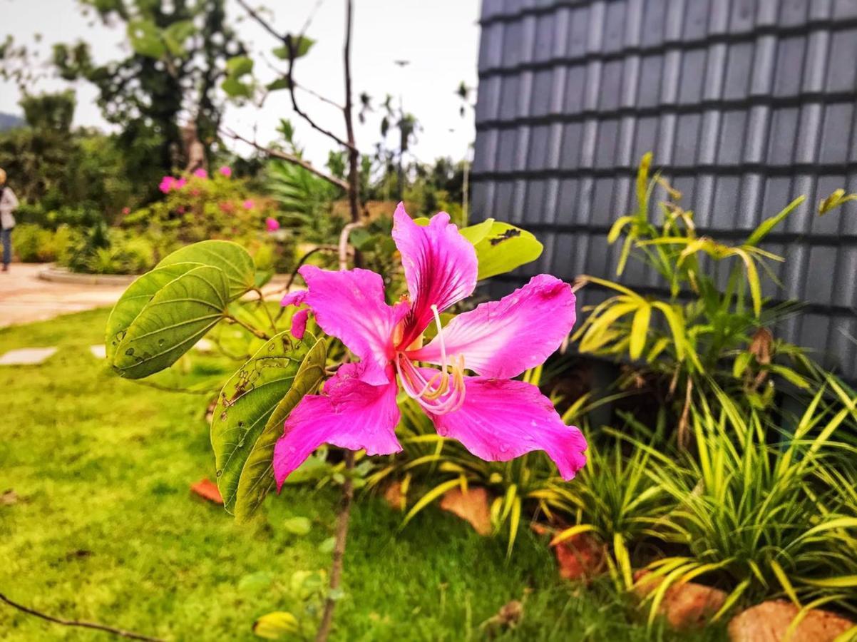 Kampot Tropical Village Εξωτερικό φωτογραφία